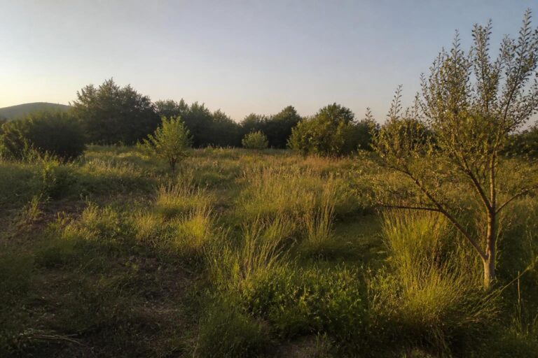 découvrez comment est déterminée la valeur d'un terrain non constructible, les facteurs qui l'influencent et les différences avec un terrain constructible.