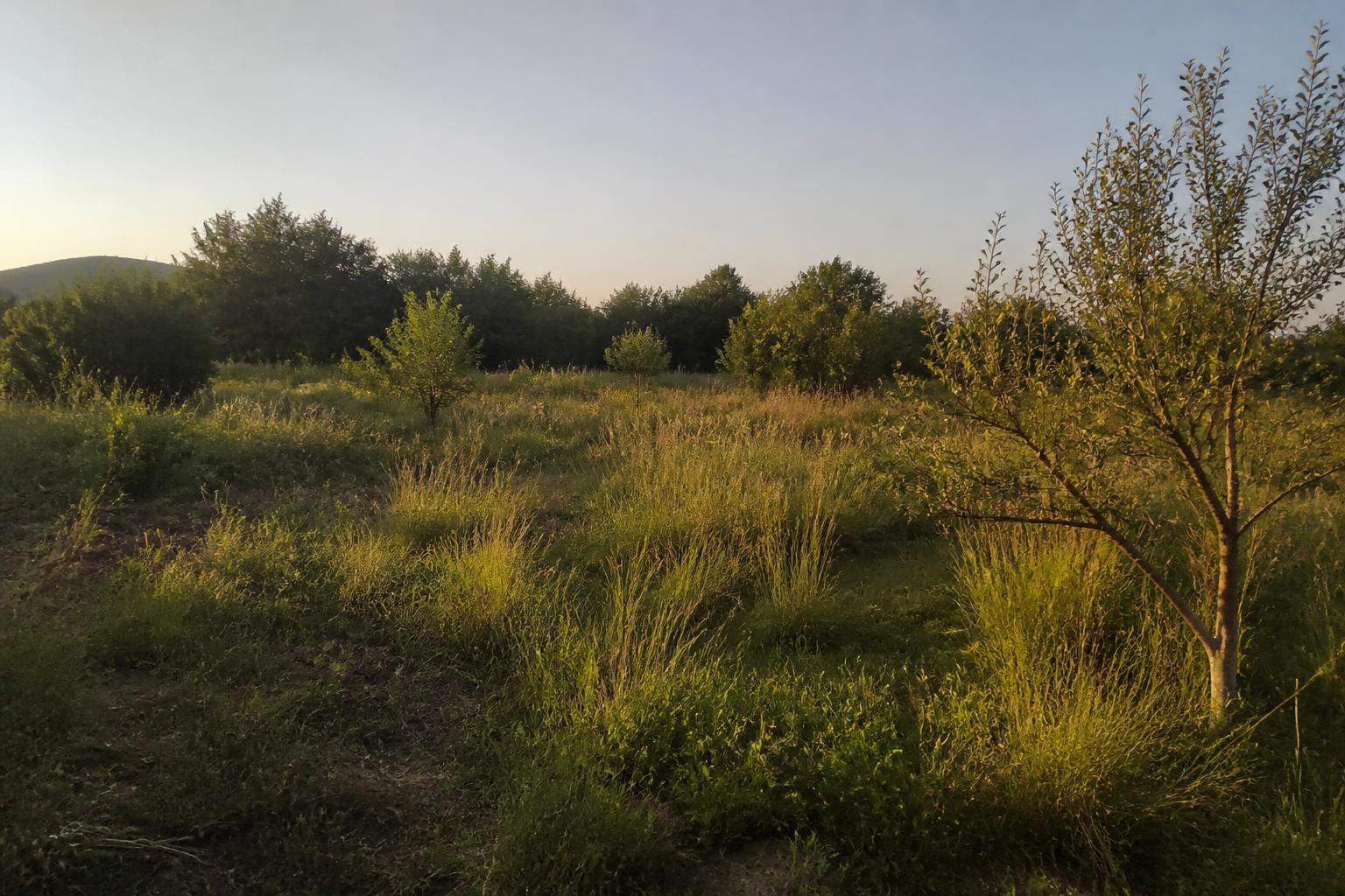 découvrez comment est déterminée la valeur d'un terrain non constructible, les facteurs qui l'influencent et les différences avec un terrain constructible.