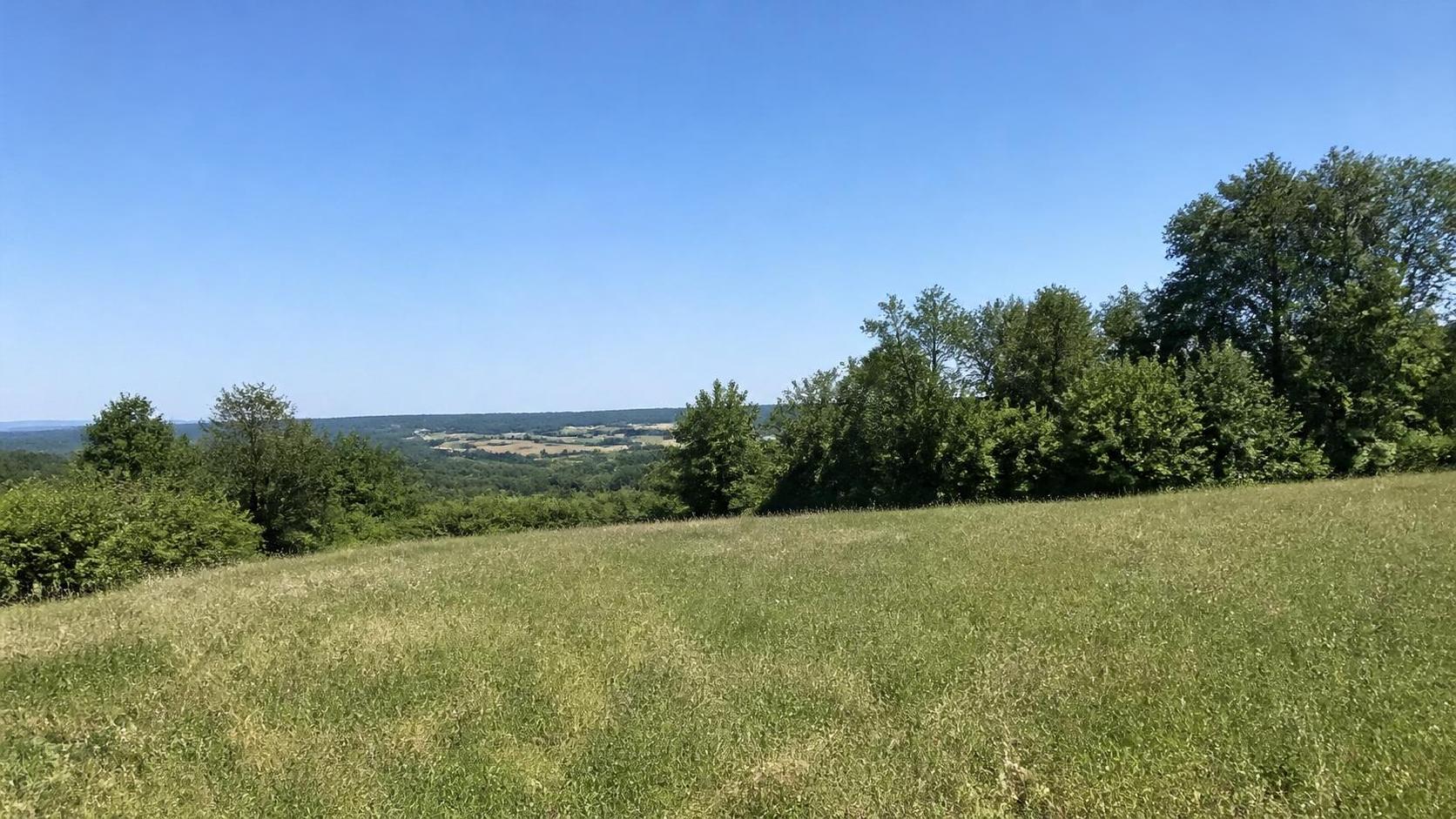 découvrez comment est déterminée la valeur d'un terrain non constructible, les facteurs qui influencent son prix et les conseils pour bien l'évaluer.