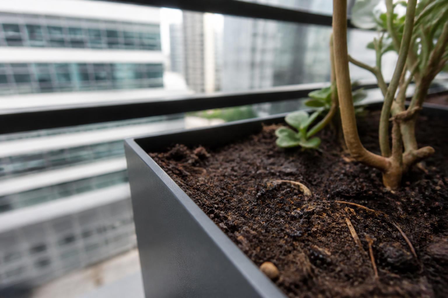 découvrez pourquoi des fourmis envahissent votre pot de fleurs, les risques associés et les méthodes efficaces pour s'en débarrasser rapidement et protéger vos plantes.