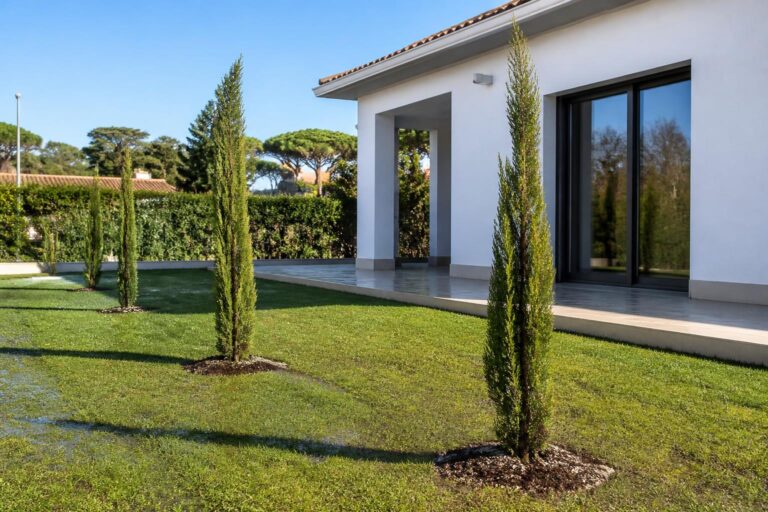 découvrez les précautions essentielles et les distances recommandées pour la plantation de cyprès près de votre maison afin d'assurer sécurité et harmonie dans votre jardin.