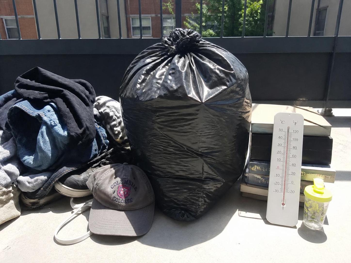 découvrez si exposer un sac poubelle au soleil est une méthode efficace pour éliminer les punaises de lit et protégez votre domicile grâce à nos conseils pratiques.