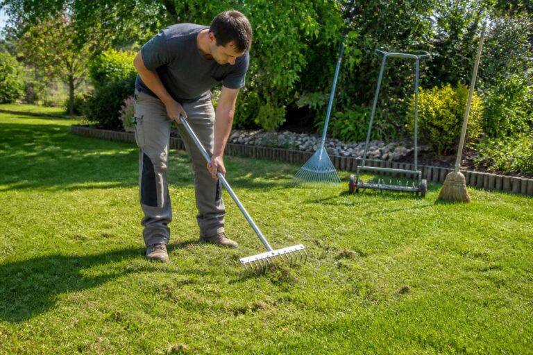 découvrez les méthodes et outils essentiels de la scarification manuelle de la pelouse pour un gazon en pleine santé. apprenez à entretenir votre pelouse efficacement et à favoriser une croissance optimale.